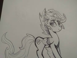 Size: 1024x768 | Tagged: safe, artist:trainerrichie, derpibooru import, scootaloo, pegasus, pony, alternate hairstyle, alternate tailstyle, eyeshadow, female, headcanon in the description, makeup, older, smiling, solo, tail, traditional art