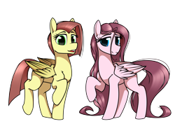 Size: 5700x4100 | Tagged: safe, artist:dacaoo, derpibooru import, oc, oc only, pegasus, pony, closed mouth, cyan eyes, female, folded wings, green eyes, lidded eyes, looking at each other, looking at someone, mare, not fluttershy, not pinkamena, open mouth, pegasus oc, raised hoof, raised leg, shoulder fluff, simple background, smiling, standing, transparent background, walking, wings