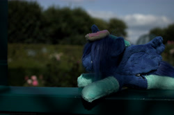 Size: 6013x4002 | Tagged: safe, artist:psychoshy_bc1q, princess luna, bokeh, cute, donut, garden, irl, photo, plushie, socks, solo