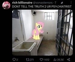 Size: 1080x884 | Tagged: safe, derpibooru import, fluttershy, pegasus, pony, female, irl, mare, meme, meta, photo, ponies in real life, prison cell, twitter