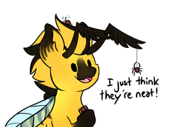 Size: 2096x1507 | Tagged: safe, artist:noxi1_48, derpibooru import, oc, oc only, bee, bee pony, original species, pony, spider, daily dose of friends, dog lip, simple background, simpsons did it, solo, transparent background