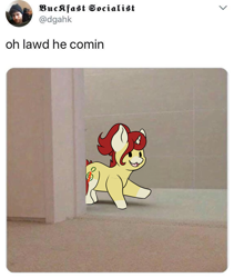 Size: 749x886 | Tagged: safe, artist:noxi1_48, derpibooru import, oc, oc:treble pen, pony, daily dose of friends, meme, oh lawd he comin, ponified, ponified animal photo, ponified meme, solo