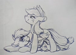 Size: 3029x2189 | Tagged: safe, artist:twiliset, derpibooru import, applejack, rainbow dash, earth pony, pegasus, pony, appledash, female, lesbian, lying down, pen drawing, shipping, shy, simple background, sketch, smiling, traditional art