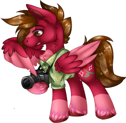 Size: 2055x2012 | Tagged: safe, artist:chvrchgrim, derpibooru import, oc, oc only, oc:grand finale, pegasus, pony, blaze (coat marking), brown mane, camera, clothes, coat markings, colored wings, facial markings, gift art, hawaiian shirt, male, shirt, simple background, socks (coat marking), solo, stallion, transparent background, two toned wings, unshorn fetlocks, wing hands, wings