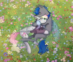 Size: 3376x2894 | Tagged: safe, artist:glumarkoj, derpibooru import, oc, oc only, oc:blazey sketch, oc:nightfall, changeling, pegasus, blue changeling, blushing, bow, changeling oc, clothes, couple, cuddling, detailed background, duo, flower, flower field, grass, green eyes, grey fur, hair bow, lying down, lying on the ground, multicolored hair, pegasus oc, smiling, sweater