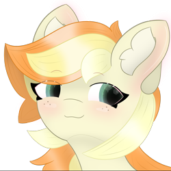 Size: 1906x1906 | Tagged: safe, artist:sodapop sprays, derpibooru import, oc, oc only, oc:sodapop sprays, pegasus, pony, blushing, ear fluff, ears, simple background, smug, solo, transparent background