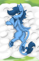 Size: 2570x3975 | Tagged: safe, artist:pzkratzer, derpibooru import, oc, oc:night cloud, sphinx, body pillow, body pillow design, butt, cloud, cute, daaaaaaaaaaaw, featureless crotch, female, leonine tail, on a cloud, paws, plot, sexy, sphinx oc, tail, underpaw