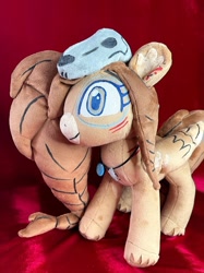 Size: 716x955 | Tagged: safe, artist:lnz, artist:lnz14, artist:lnz_01, derpibooru import, oc, oc:ondrea, alicorn, earth pony, pegasus, pony, unicorn, commission, customized toy, irl, photo, plushie, pony plushie, solo, toy