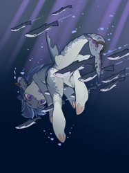 Size: 2048x2732 | Tagged: safe, artist:blue ink, derpibooru import, oc, oc only, oc:peter von piper, fish, merpony, original species, shark, shark pony, blue mane, bubble, crepuscular rays, digital art, dorsal fin, fangs, fin, fins, fish tail, high res, male, ocean, open mouth, purple eyes, shark pony oc, solo, stallion, sunlight, swimming, tail, teeth, underwater, water