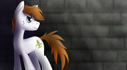 Size: 1960x1080 | Tagged: safe, artist:dshou, derpibooru import, oc, oc only, oc:fleur, earth pony, pony, earth pony oc, freckles, head turn, male, solo, stallion