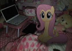 Size: 828x585 | Tagged: artist needed, source needed, safe, derpibooru import, edit, fluttershy, pegasus, pony, bed, computer, dark, irl, laptop computer, on bed, photo, plushie, ponies in real life, sanrio, sitting, sitting on bed, smiling, solo