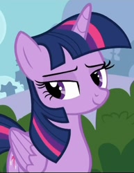 Size: 550x711 | Tagged: safe, derpibooru import, screencap, twilight sparkle, twilight sparkle (alicorn), alicorn, pony, g4, it ain't easy being breezies, season 4, cropped, female, lidded eyes, mare, smiling, solo