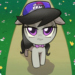 Size: 1200x1200 | Tagged: safe, artist:talim_stuff, derpibooru import, octavia melody, earth pony, pony, g4, baseball cap, bowtie, cap, ears, female, floppy ears, frown, hat, lidded eyes, looking at you, mare, octavia is not amused, ponified animal photo, shadow, solo, unamused