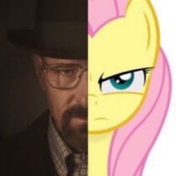 Size: 1098x1098 | Tagged: safe, derpibooru import, edit, fluttershy, human, pony, g4, bad edit, frown, shitposting, walter white