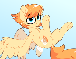 Size: 2250x1750 | Tagged: safe, artist:fakkajohan, derpibooru import, oc, oc only, oc:flarewind, pegasus, pony, bandage, chest fluff, cute, dock, eyebrows, eyebrows visible through hair, female, looking at you, smiling, solo, spread wings, tail, wings