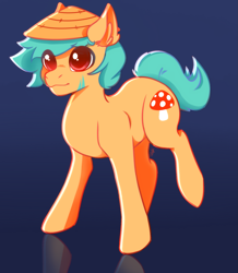 Size: 1471x1687 | Tagged: safe, artist:phreia, derpibooru import, oc, oc only, earth pony, pony, gradient background, hat, male, mushroom, reflection, smiling, solo