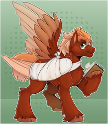 Size: 2128x2453 | Tagged: safe, artist:horseman3000, derpibooru import, oc, oc only, oc:pavlos, pegasus, pony, bandage, broken bone, broken wing, cast, cheek fluff, chest fluff, colored hooves, colored wings, concave belly, freckles, gradient background, green background, high res, injured, large wings, leg fluff, multicolored wings, notebook, pen, ponified, short tail, simple background, sling, solo, species swap, sternoc, tail, unshorn fetlocks, wings