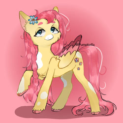 Size: 750x750 | Tagged: safe, artist:pumpkella, derpibooru import, fluttershy, pegasus, pony, g4, coat markings, colored hooves, cute, female, flower, flower in hair, mare, shyabetes, solo, unshorn fetlocks