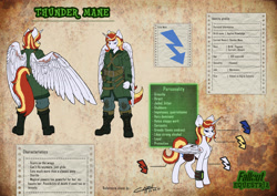 Size: 4961x3508 | Tagged: safe, artist:capouccino, derpibooru import, oc, oc only, oc:thunder mane, alicorn, anthro, plantigrade anthro, fallout equestria, alicorn oc, anthro oc, bag, blue eyes, commission, cutie mark, fallout equestria oc, female, horn, mare, mercenary, pipbuck, reference sheet, saddle bag, scar, wings