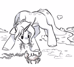 Size: 2862x2586 | Tagged: safe, artist:opalacorn, derpibooru import, oc, oc only, crab, pony, unicorn, commission, ears, floppy ears, grayscale, grazing, herbivore, horses doing horse things, male, monochrome, open mouth, seaweed, simple background, solo, stallion, white background