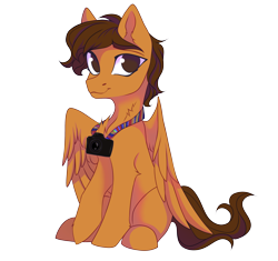 Size: 3606x3394 | Tagged: safe, artist:jsunlight, derpibooru import, oc, oc only, oc:toanderic, pegasus, pony, 2024 community collab, camera, chest fluff, derpibooru community collaboration, ear fluff, ears, hoof fluff, looking at you, raised hoof, raised leg, simple background, sitting, solo, transparent background, wings