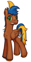 Size: 600x1200 | Tagged: safe, artist:hiddelgreyk, derpibooru import, oc, oc only, pegasus, pony, 2024 community collab, blue mane, brown coat, chest fluff, derpibooru community collaboration, folded wings, full body, green eyes, grin, hooves, looking at you, male, pegasus oc, simple background, smiling, solo, stallion, standing, tail, transparent background, two toned mane, two toned tail, wings