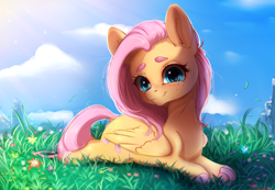 Size: 2606x1800 | Tagged: safe, artist:miokomata, derpibooru import, fluttershy, pegasus, pony, g4, colored hooves, cute, female, freckles, freckleshy, frog (hoof), grass, high res, looking at you, lying down, lying in grass, lying on the ground, mare, on ground, prone, shyabetes, smiling, smiling at you, smol, solo, sploot, underhoof
