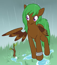 Size: 767x882 | Tagged: safe, artist:pawprintstars, derpibooru import, oc, oc only, oc:pitter patter, pegasus, pony, colored wings, female, mare, rain, sapling, solo, spread wings, two toned wings, wet, wings