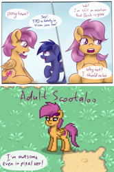 Size: 1280x1922 | Tagged: safe, artist:redheadfly, derpibooru import, scootaloo, oc, oc:blazing sky, pony, older, pony town, tumblr:ask-adultscootaloo