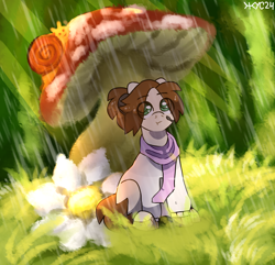 Size: 2244x2160 | Tagged: safe, artist:juiss, derpibooru import, oc, oc only, earth pony, pony, flower, micro, mushroom, rain, scarf, sitting, snail, solo, toadstool