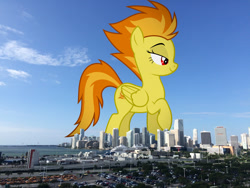 Size: 2032x1524 | Tagged: safe, artist:dashiesparkle, derpibooru import, edit, editor:jaredking779, spitfire, pegasus, pony, g4, attack on pony, female, florida, folded wings, giant pony, giantess, highrise ponies, irl, lidded eyes, macro, mare, miami, photo, ponies in real life, raised hoof, raised leg, red eyes, solo, story included, vulgar description, wings