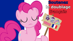 Size: 1920x1080 | Tagged: safe, derpibooru import, pinkie pie, earth pony, pony, g4, equestria girls logo, female, flag, france, french, my little pony logo, sign, solo, solo female, support