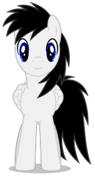 Size: 2500x4585 | Tagged: safe, artist:creedyboy124, derpibooru import, oc, oc only, oc:shane park, pegasus, pony, g4, front view, male, simple background, smiling, solo, stallion, transparent background