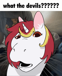 Size: 1150x1401 | Tagged: safe, artist:aliceg, derpibooru import, oc, oc:lazy sunday, cat, pony, unicorn, behaving like a cat, gumpy, looking at you, meme, silly, solo, what the devils