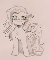 Size: 2000x2399 | Tagged: safe, artist:不可食用骨, derpibooru import, fluttershy, pegasus, pony, g4, pencil drawing, smiling, solo, traditional art