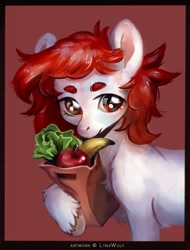 Size: 971x1280 | Tagged: safe, artist:lynxwolf, derpibooru import, oc, oc only, earth pony, pony, apple, bag, banana, bust, food, portrait, salad