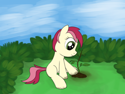 Size: 2000x1500 | Tagged: safe, artist:craftycirclepony, derpibooru import, roseluck, pony, g4, bush, dirt, female, filly, foal, gardening, outdoors, sapling, sitting, sky, solo, younger