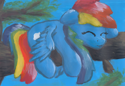 Size: 2560x1760 | Tagged: safe, artist:chevaleto, derpibooru exclusive, derpibooru import, rainbow dash, pegasus, pony, g4, acrylic painting, eyes closed, lying down, sleeping, solo, traditional art, tree, tree branch, wings