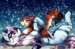 Size: 3471x2264 | Tagged: safe, artist:krissstudios, derpibooru import, oc, oc only, oc:meowmix, oc:purapoint, cat, earth pony, pony, cat oc, cute, detailed background, earth pony oc, hug, male, stallion