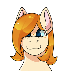 Size: 1400x1400 | Tagged: safe, artist:rindeadsong, derpibooru import, oc, oc only, oc:copper moon, pony, bust, freckles, looking at you, palindrome get, portrait, simple background, smiling, smiling at you, solo, transparent background