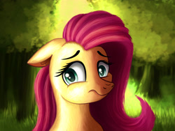 Size: 4000x3000 | Tagged: safe, artist:blankedsoul, derpibooru import, fluttershy, pegasus, g4, cute, female, forest background, shyabetes, solo