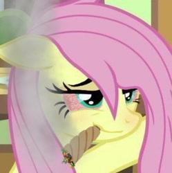 Size: 720x723 | Tagged: safe, derpibooru import, edit, edited screencap, screencap, fluttershy, pegasus, pony, g4, bloodshot eyes, drugs, episode needed, female, flutterhigh, high, mare, marijuana, smiling, smoke, smoking, solo