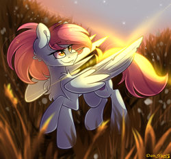 Size: 1856x1721 | Tagged: safe, artist:yuris, derpibooru import, oc, oc only, oc:rainven wep, pegasus, pony, dawn, eyebrows, eyebrows visible through hair, field, grass, looking back, smiling, solo, trade