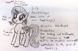 Size: 3754x2479 | Tagged: safe, artist:dhm, derpibooru import, oc, oc:lily heartstrings, pony, monochrome, reference sheet, sketch, solo, traditional art