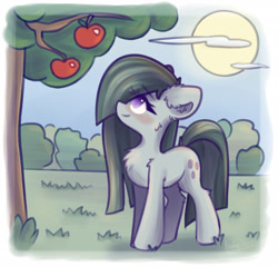 Size: 2600x2500 | Tagged: safe, artist:kindny-chan, derpibooru import, marble pie, earth pony, pony, apple, apple tree, blushing, female, food, looking at something, looking up, mare, smiling, solo, tree