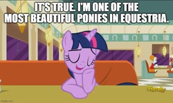 Size: 795x477 | Tagged: safe, derpibooru import, edit, edited screencap, screencap, beaude mane, joan pommelway, twilight sparkle, twilight sparkle (alicorn), alicorn, g4, the saddle row review, caption, eyes closed, image macro, imgflip, out of character, talking to viewer, text