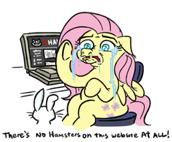 Size: 749x618 | Tagged: safe, artist:jargon scott, derpibooru import, angel bunny, fluttershy, pegasus, pony, rabbit, g4, animal, computer, crying, duo, duo male and female, ears, escii keyboard, female, floppy ears, fluttercry, laptop computer, male, mare, runny nose, simple background, sitting, snot, solo, traumatized, underhoof, white background, xhamster