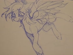 Size: 4079x3073 | Tagged: safe, artist:tendocake, derpibooru import, derpy hooves, pegasus, pony, g4, ear fluff, ears, flying, marker drawing, smiling, solo, traditional art