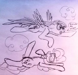 Size: 3243x3120 | Tagged: safe, artist:dhm, derpibooru import, pinkie pie, rainbow dash, pony, g4, cloud, flying, monochrome, sketch, speech bubble, swimming, traditional art, wtf