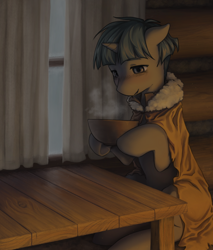 Size: 1684x1972 | Tagged: safe, artist:aquoquoo, derpibooru import, stygian, pony, unicorn, g4, bowl, clothes, coat, cozy, curtains, food, male, solo, soup, stallion, table, window